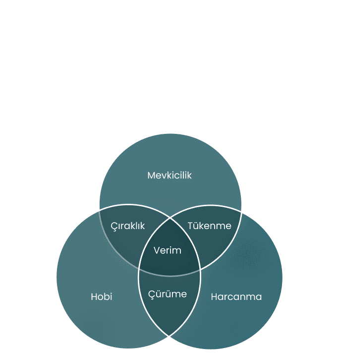 Sürdürülebilir Verimlilik Şeması